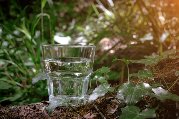 Ein Glas sauberes Wasser über die Natur im Wald und Fluss Konzept eines gesunden Lebensstils und Umweltfreundlichkeit