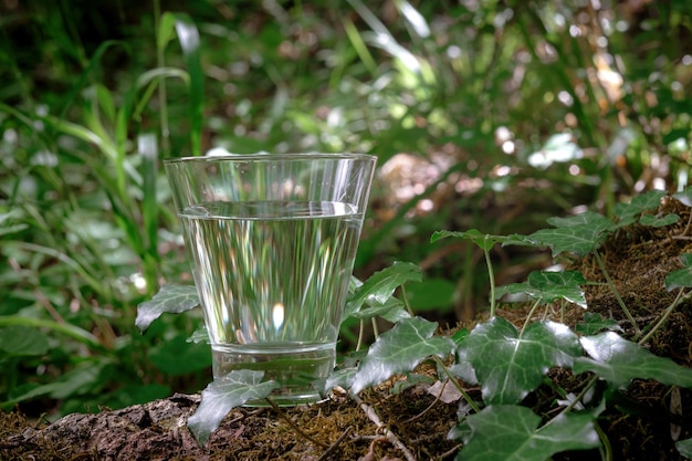 Ein Glas sauberes Wasser über die Natur im Wald und Fluss Konzept eines gesunden Lebensstils und Umweltfreundlichkeit