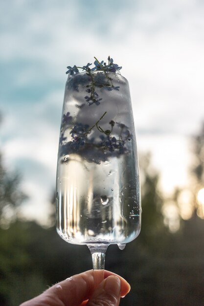 ein Glas Wasser und Eiswürfel mit Blumen