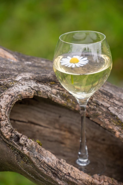 Ein Glas Wein in einem alten trockenen Apfelbaum