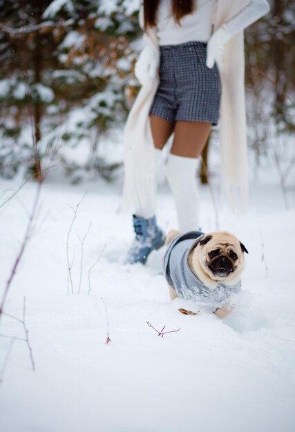 Foto ein glücklicher, aktiver, weißer, fröhlicher hund rennt durch den schnee und überblickt eine verschneite landschaft