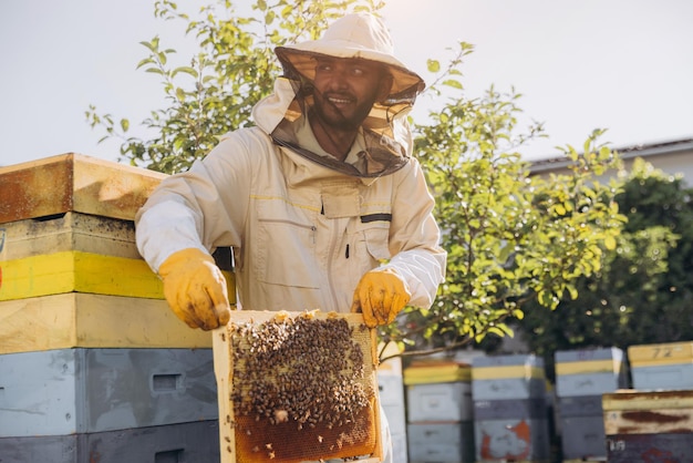 Ein glücklicher indischer Imker holt einen Rahmen mit Bienen und Honig aus einem Bienenstock auf einer Bienenfarm