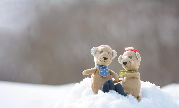 Ein glückliches Paar Teddybär-Puppen in der Liebe sitzen im weißen flauschigen Schneekonzept der Liebe