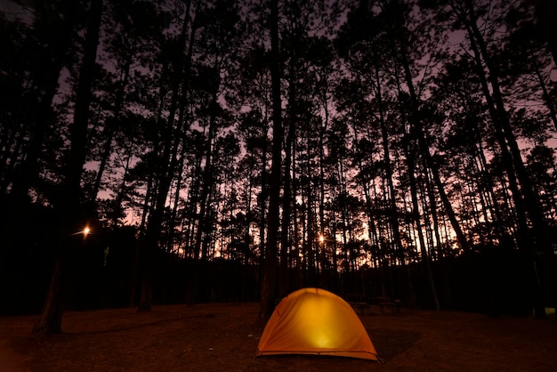 Ein glühendes orangefarbenes Zelt in einer Kiefernwaldsonnenuntergangzeit