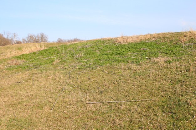 Ein grasbewachsenes Feld mit einem Hügel im Hintergrund