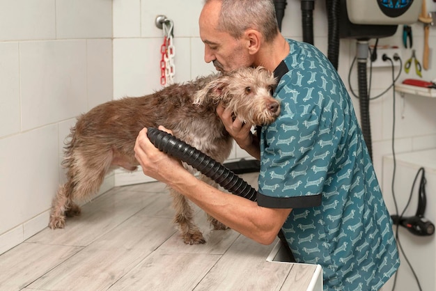 Ein Groomer, der einen Hund nach einem Bad trocknet