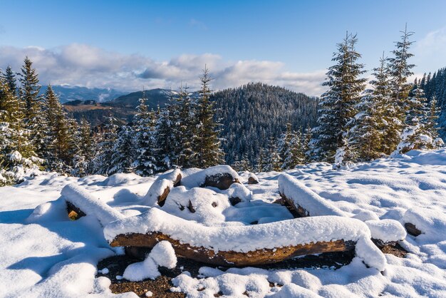 Ein großer schneebedeckter Lagerfeuerplatz in den Karpaten I strahlende kalte Sonne