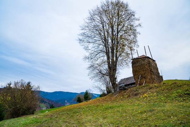 Ein großer Stapel trockenes Heu steht neben einem kleinen Baum ohne Blätter vor einem schönen Tal, mit Herbstwäldern und grünen Wiesen und einem kleinen Dorf.