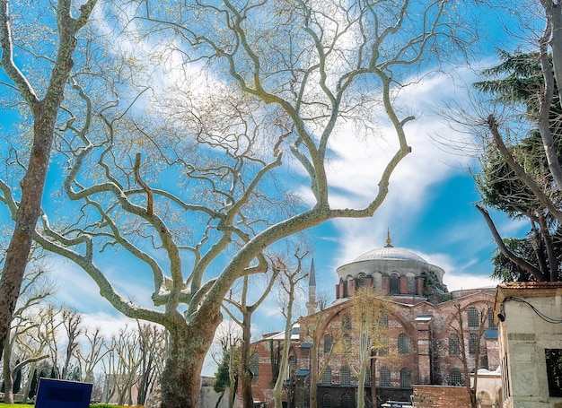 ein großes Gebäude mit einem großen Baum davor