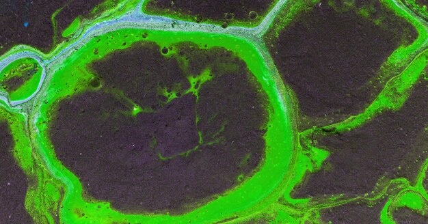Ein grün-violettes Bild eines Gehirns mit der Nummer 2 darauf