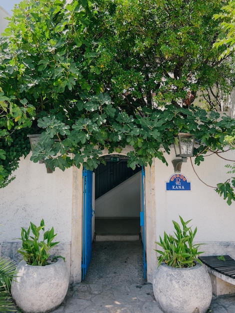 Ein grüner Baum hängt über dem Steinzaun eines Hauses mit offener Tür