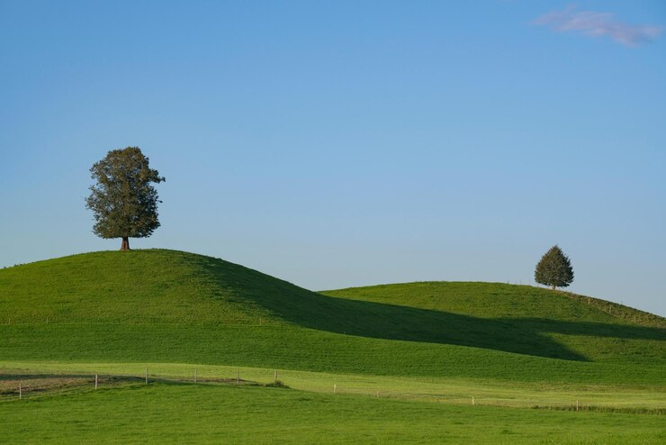 ein grüner Hügel mit zwei Bäumen darauf und ein blauer Himmel mit ein paar Wolken