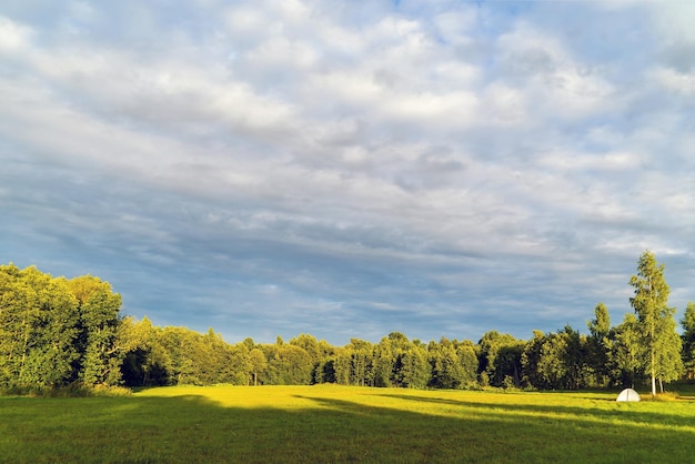 Ein grüner Rasen vor einem Wald mit Wolken am Himmel an einem sonnigen Tag