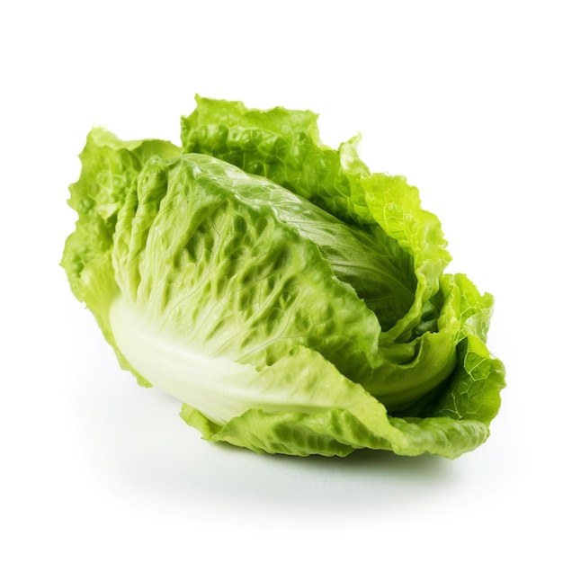 Ein grüner Salat mit dem Wort Romaine darauf