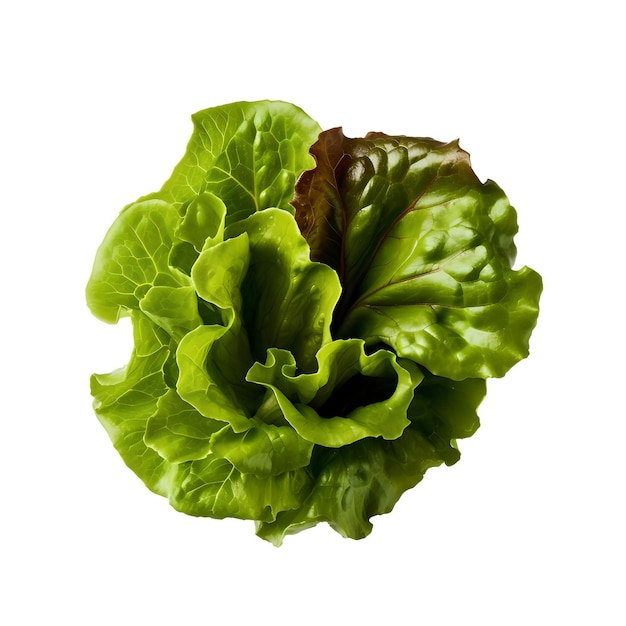 Ein grüner Salat