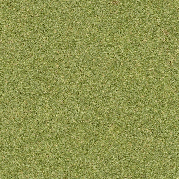 ein grüner Teppich mit einem kleinen Stück Gras