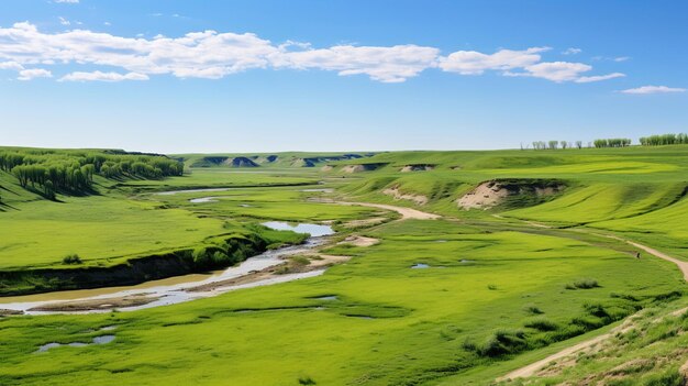 ein grünes Feld mit einem Fluss und einer Stromleitung im Hintergrund