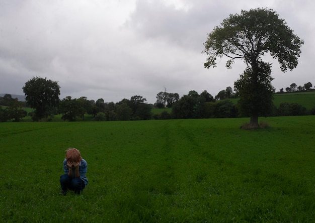 Ein grünes Grasfeld mit einem Baum im Hintergrund