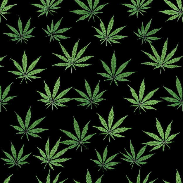 ein grünes Marihuanablatt auf einem schwarzen Hintergrund