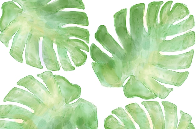 Foto ein grünes tropisches monstera-blattmuster mit aquarellstruktur auf weißem hintergrund
