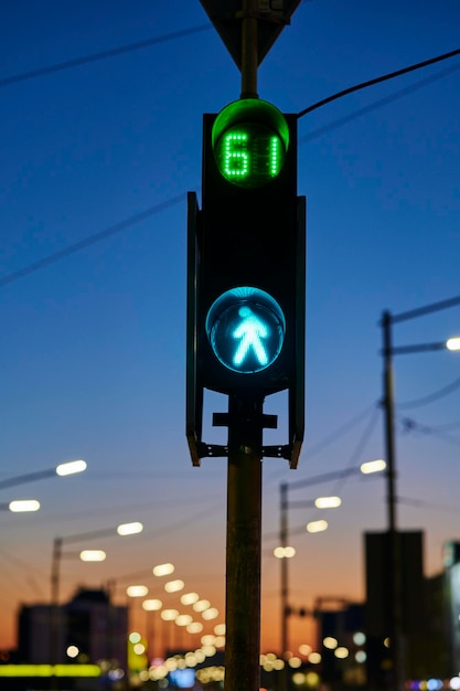 Ein grünes Wanderschild mit der Nummer 61 darauf