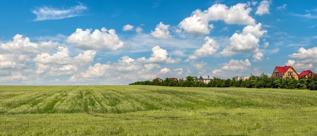 Ein grünes Weizenfeld auf den Hügeln, ein Dorf am Horizont und ein blauer, bewölkter Himmel. Breites Foto