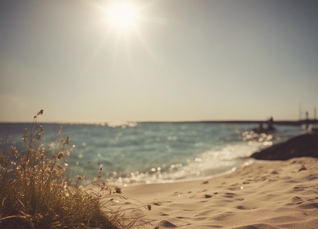 Foto ein guter sonniger tag am meer