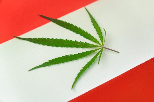 ein Hanfblatt auf dem Hintergrund der österreichischen Flagge Konzept der Legalisierung und Gesetzesänderungen bezüglich Anbau und Verwendung von Marihuana im Land Österreich