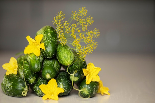 Ein Haufen grüner frischer Gurken mit gelben Blüten