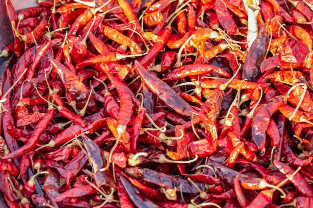 Ein Haufen köstlicher getrockneter roter Chilischoten unter dem Sonnenlicht mit selektivem Fokus