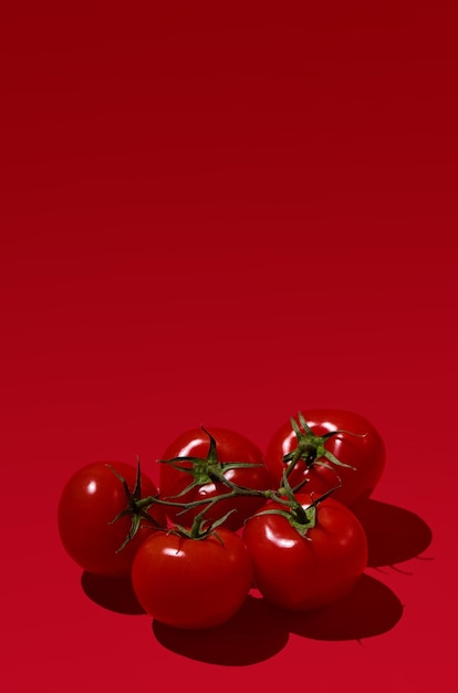 Ein Haufen Tomaten isoliert auf rotem Hintergrund mit einem tiefen Schatten Closeup Copy Space