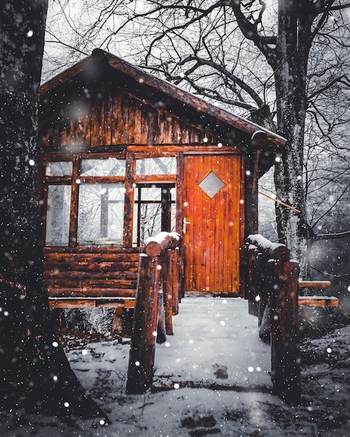 ein Haus im verschneiten Wald