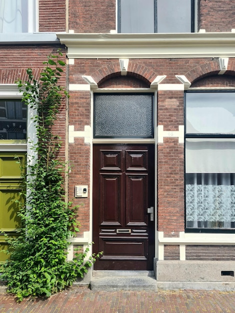 Ein Haus mit einer braunen Tür und einer grünen Pflanze davor.