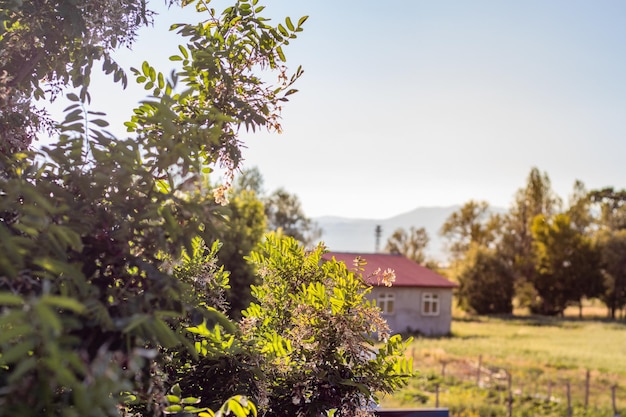 Ein Haus mit rotem Dach an einem sonnigen Tag im Dorf Textbereich kopieren