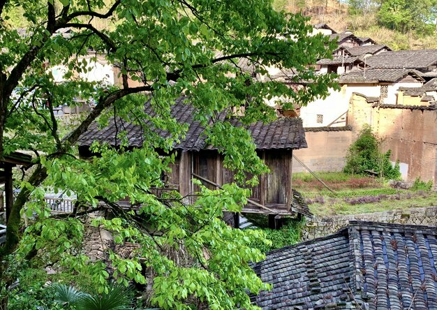 Ein Haus mitten im Wald