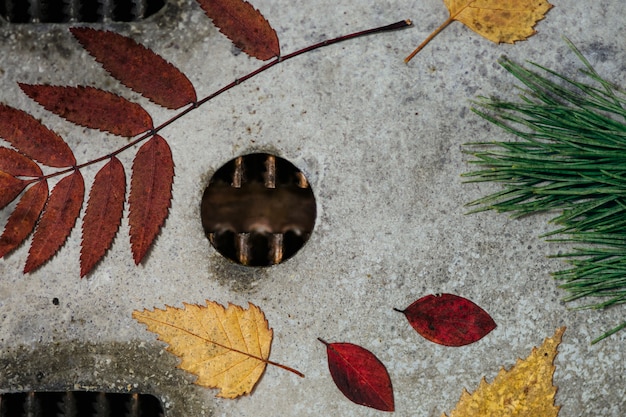 Ein helles Herbst-Herbarium, das sich auf einer durch Korrosion beschädigten Metalloberfläche befindet.