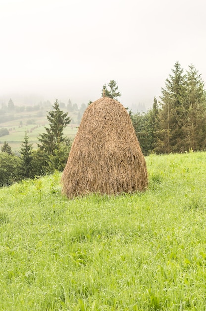 Ein Heuhaufen im Bergtal