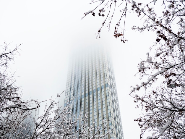 Ein Hochhaus steht im Nebel Das Foto wurde von unten aufgenommen Im Vordergrund ragen schneebedeckte Äste hervor