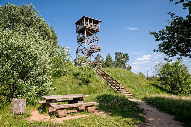 Ein hölzerner Aussichtsturm auf dem Gipfel des Hügels im Sommer