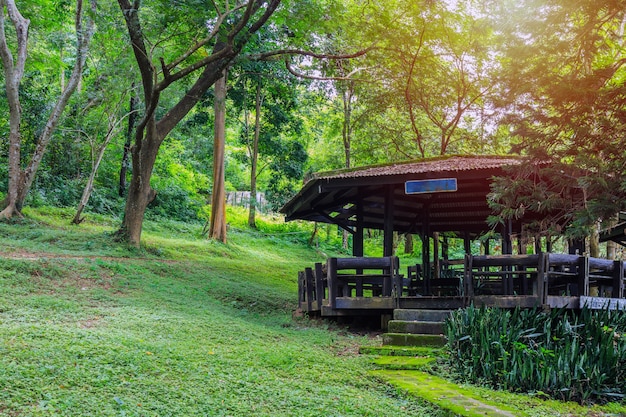 Ein hölzerner Pavillon im Nationalpark