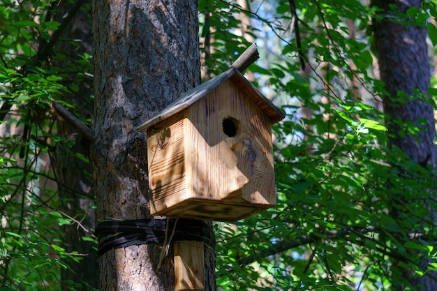 Ein hölzernes Vogelhaus hängt an einem Baum mit verschwommenem Laub im Hintergrund.