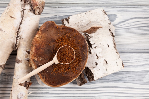 Ein Holzlöffel mit trockenem Chaga-Teepulver liegt auf einem natürlichen Birkenpilz neben der Birkenrinde.