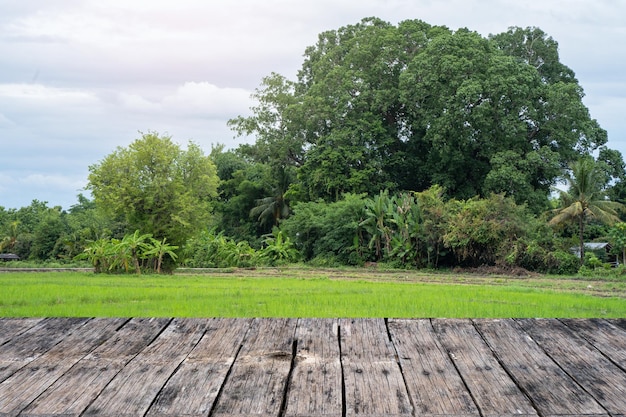 Ein Holztisch mit einer grünen Wiese im Hintergrund