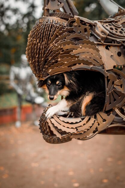 Ein Hund sitzt in einer Skulptur aus Metall.