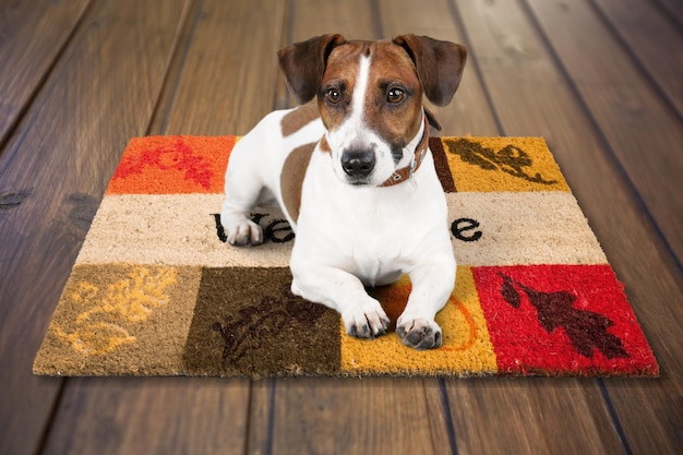 Foto ein hundehaustier auf einer matte auf holzboden