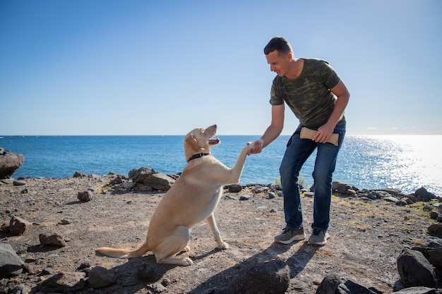 Ein Hundetrainer mit einem Hund am Strand macht Trainingsübungen und hält seine Pfote