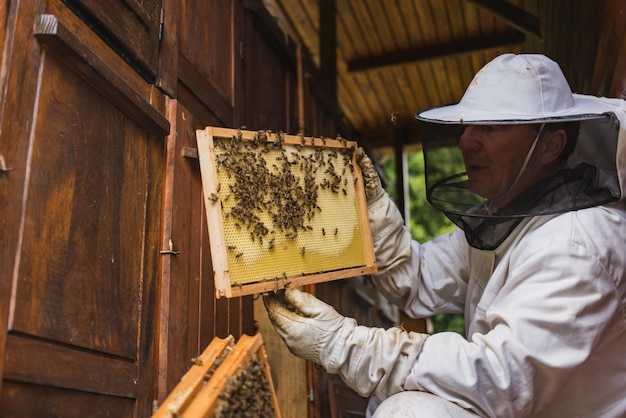 Foto ein imker inspiziert einen bienenstock und überprüft bienen und kamm