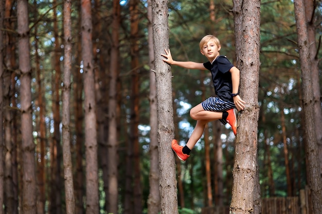Ein Junge in einem Kiefernwald ist auf einen Baum geklettert und schaut in die Kamera