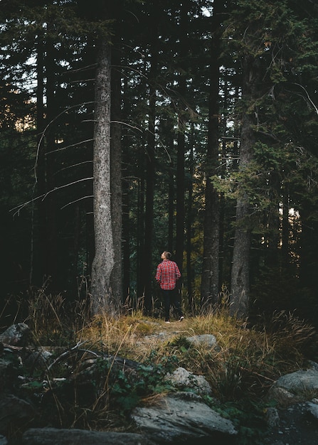 Ein Junge rennt durch den Wald