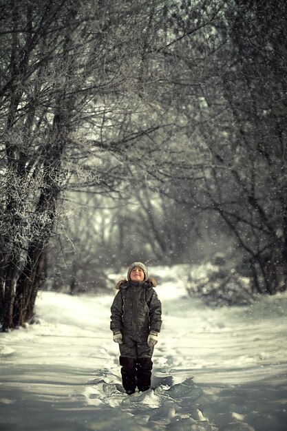 Foto ein junge steht in einem verschneiten winterwald zwischen den tannen